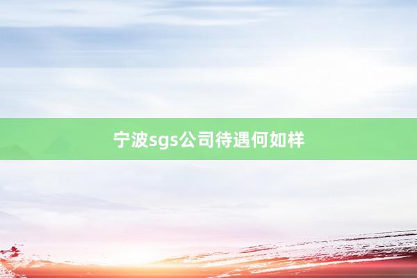 宁波sgs公司待遇何如样