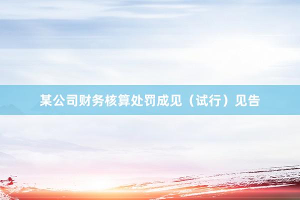 某公司财务核算处罚成见（试行）见告