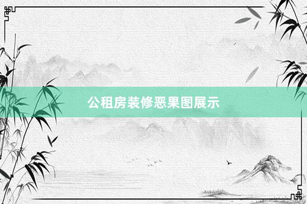 公租房装修恶果图展示
