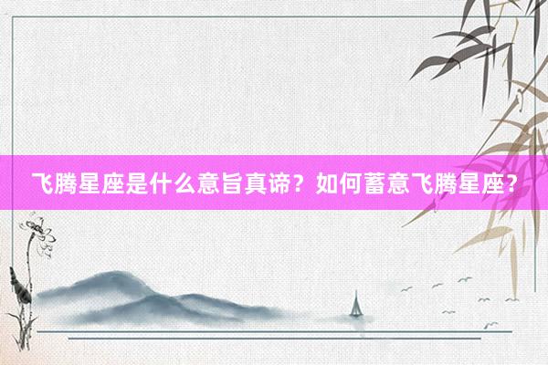 飞腾星座是什么意旨真谛？如何蓄意飞腾星座？